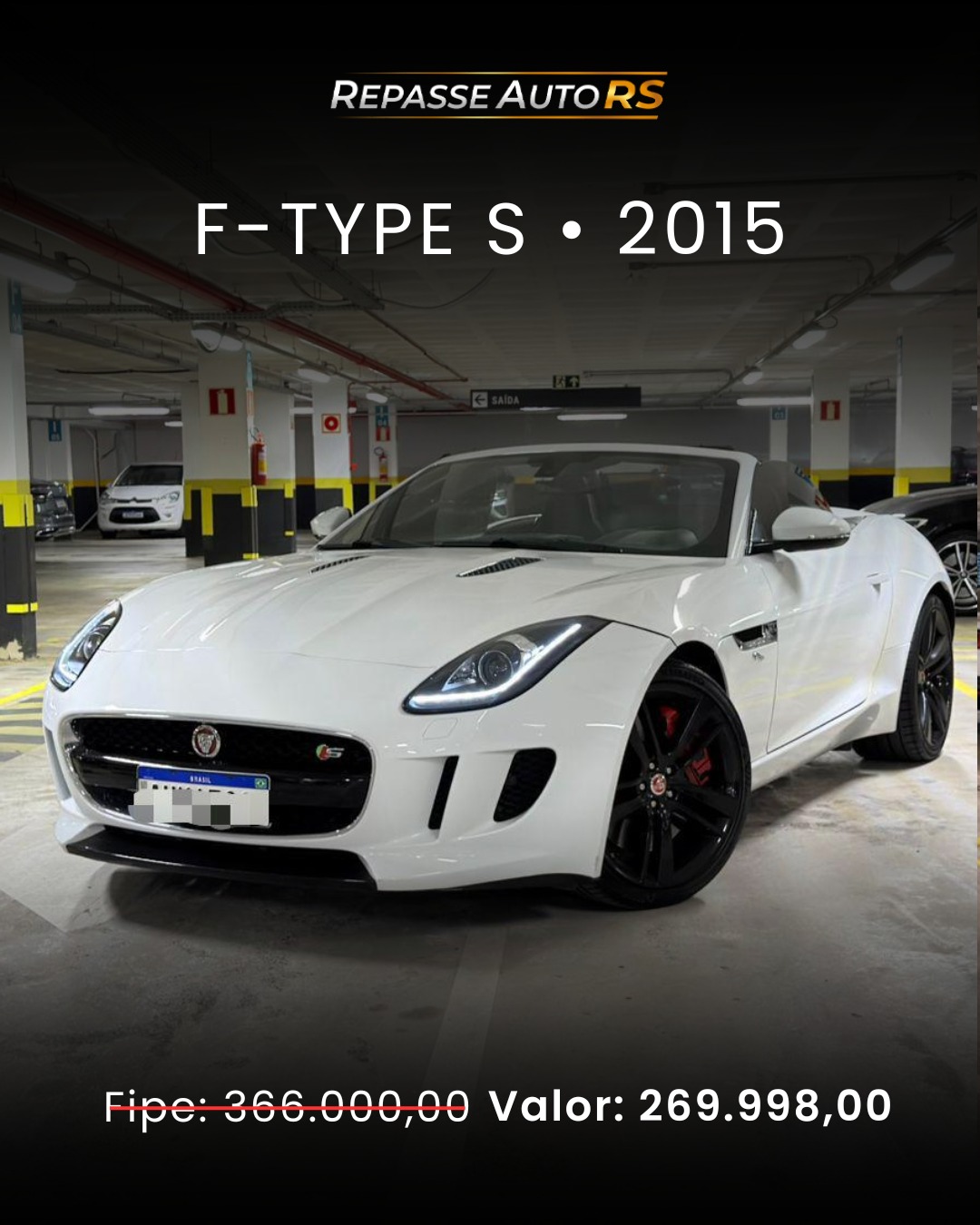 WhatsApp Image 2026-02-11 at 15.38.05 (1)